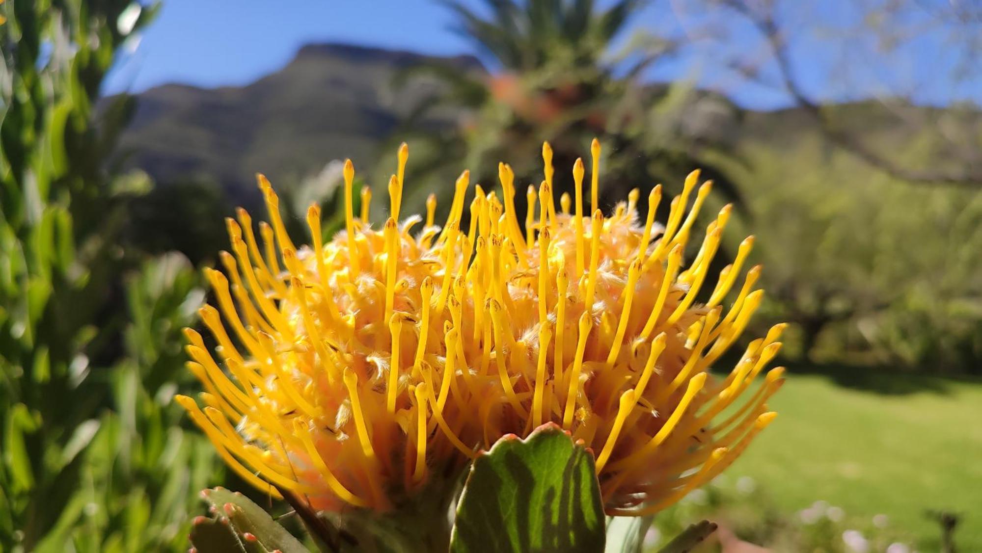 Tafelkop Keisie Self Catering